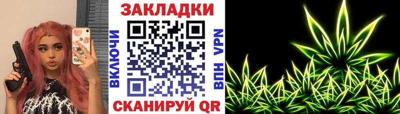 Псилоцибиновые грибы Кедровый